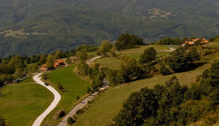 סן מרצ'לו פיזטויזה Agriturismo Il Serrino מראה חיצוני תמונה
